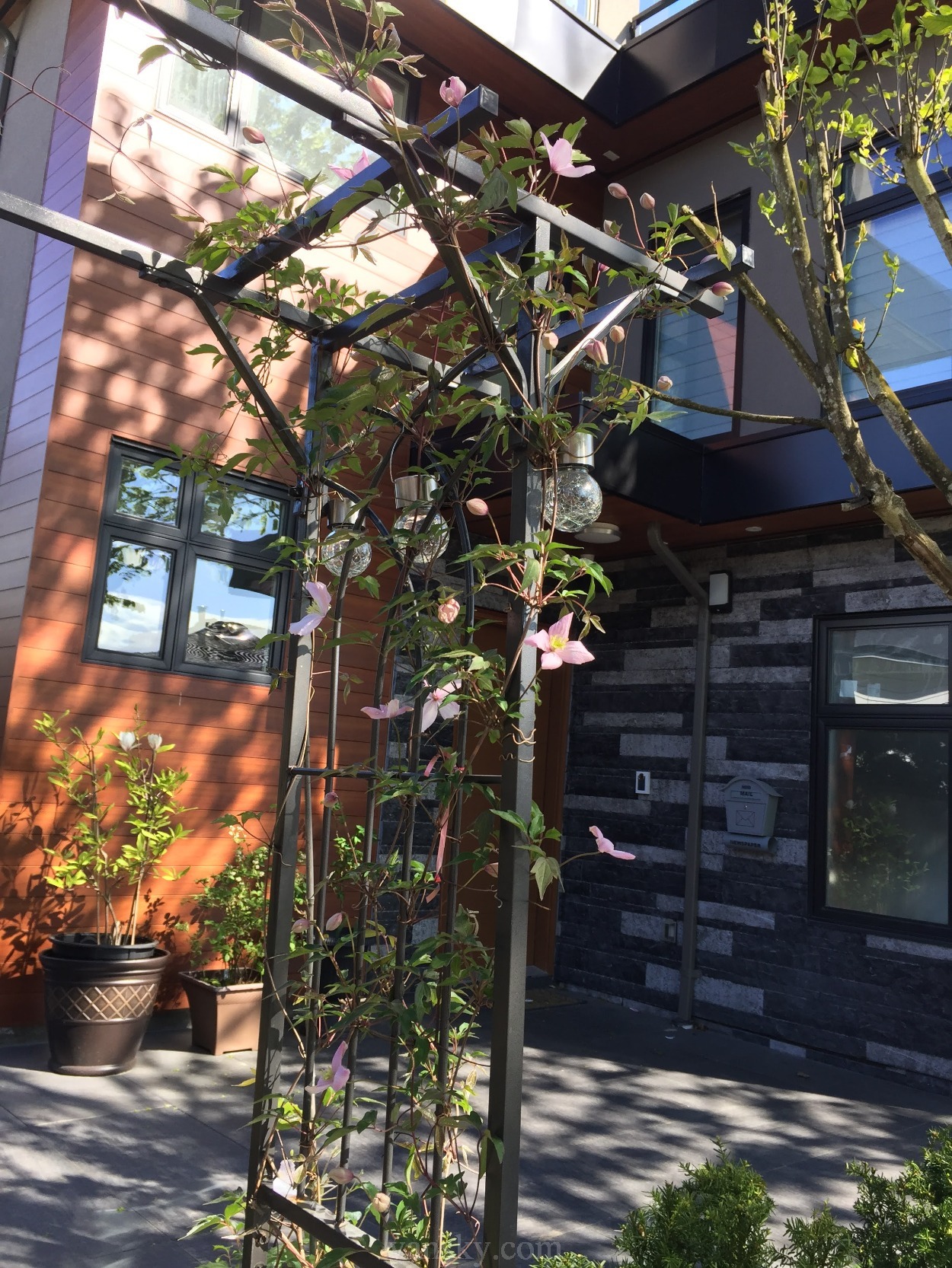 210709011212_front garden.JPG